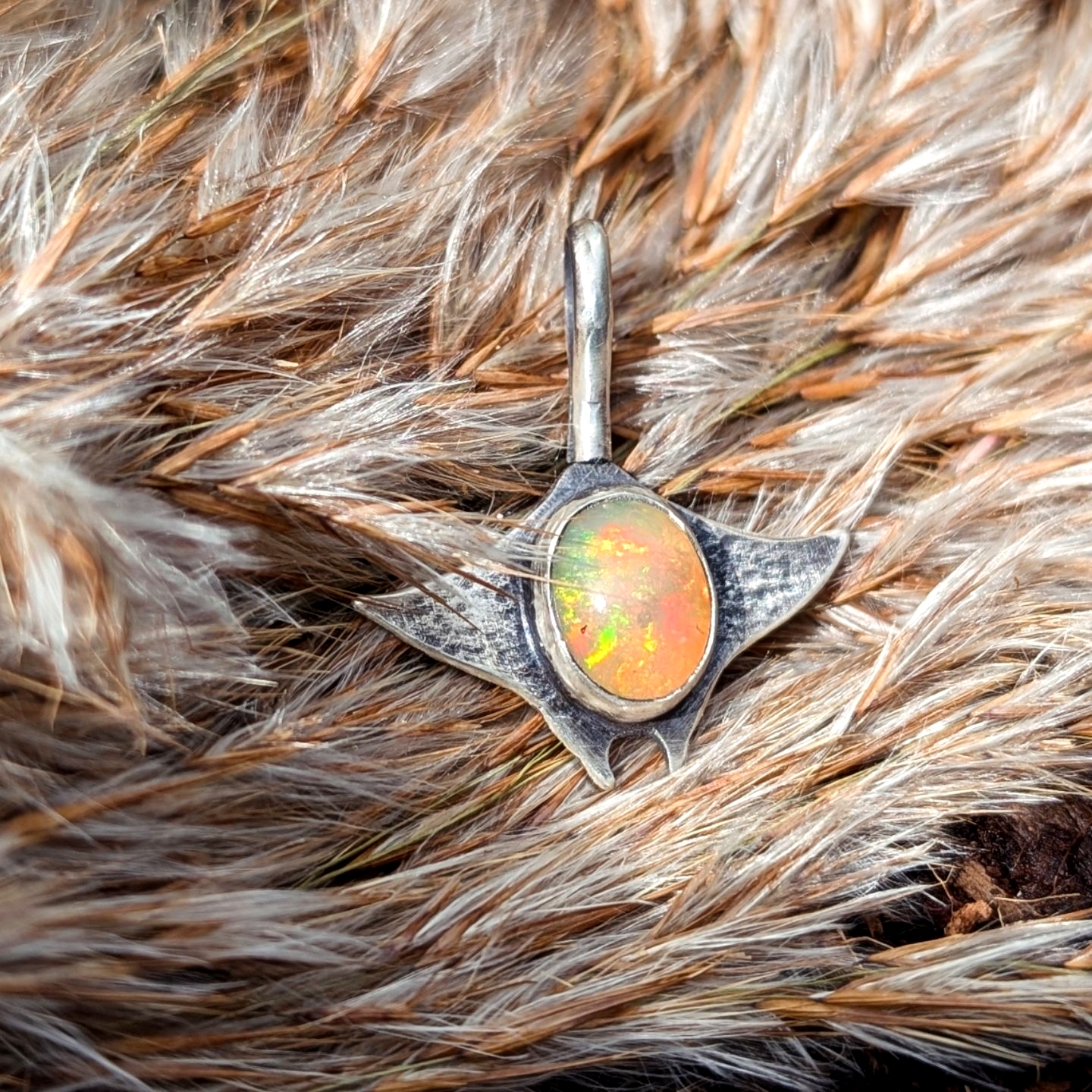 Solar Ray
