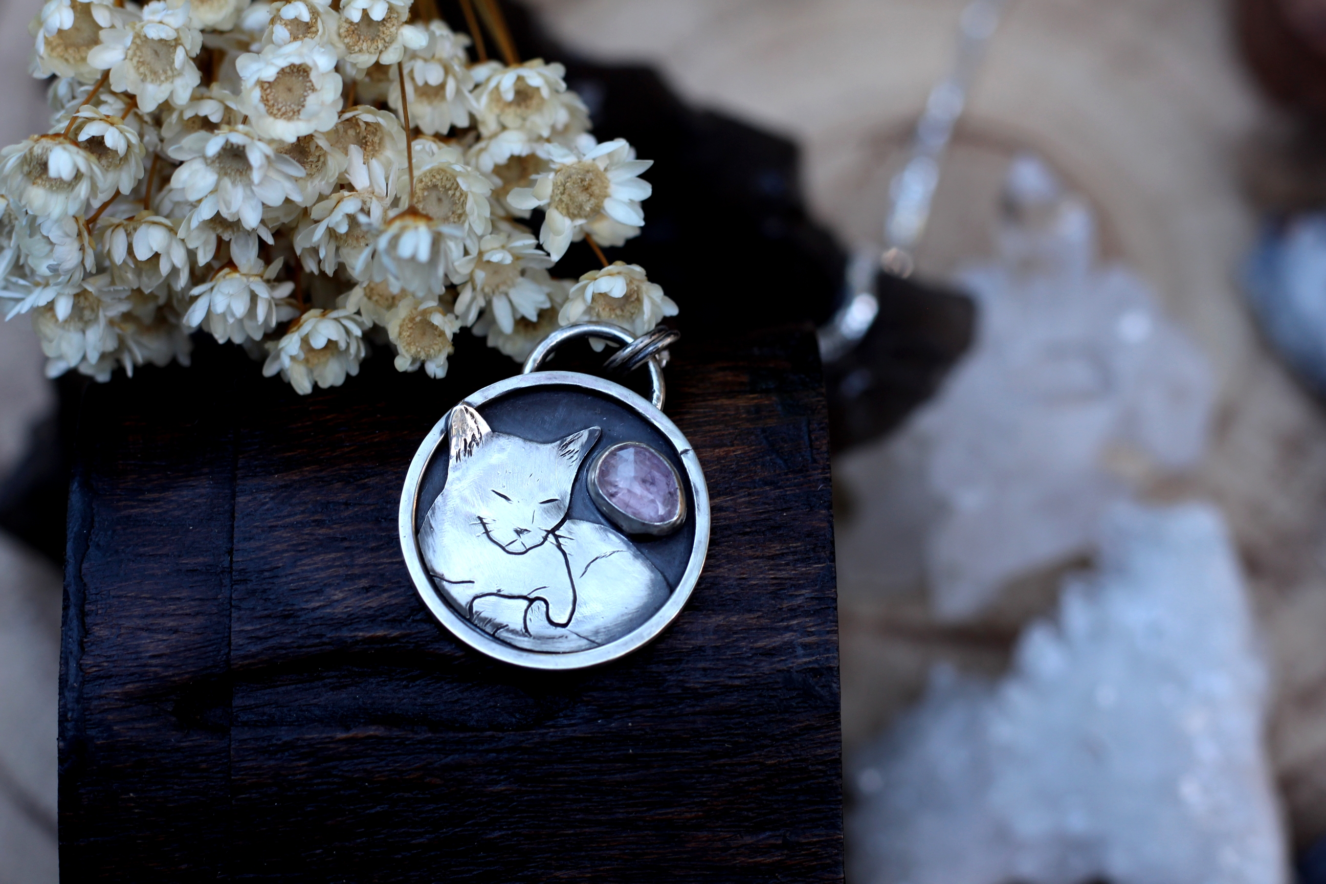 Dreaming Cat